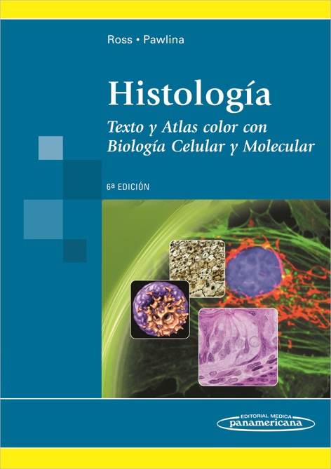 Kierszenbaum Histologia E Biologia Celular Pdf