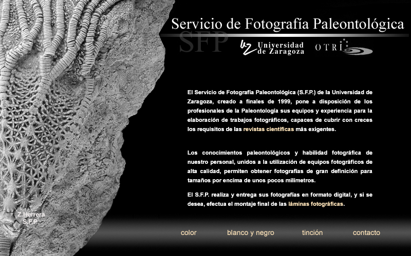 Servicio_fotografia_paleontologia